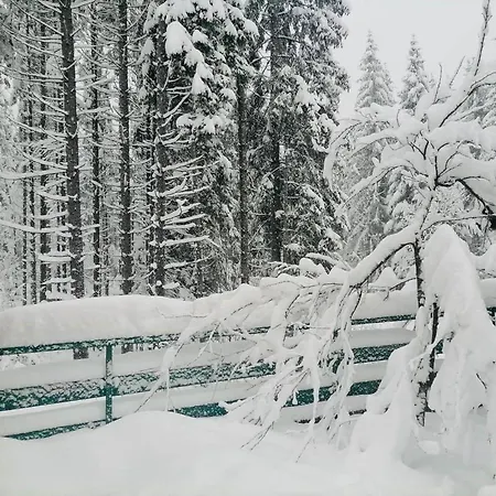 Forest Jasenak Exterior photo