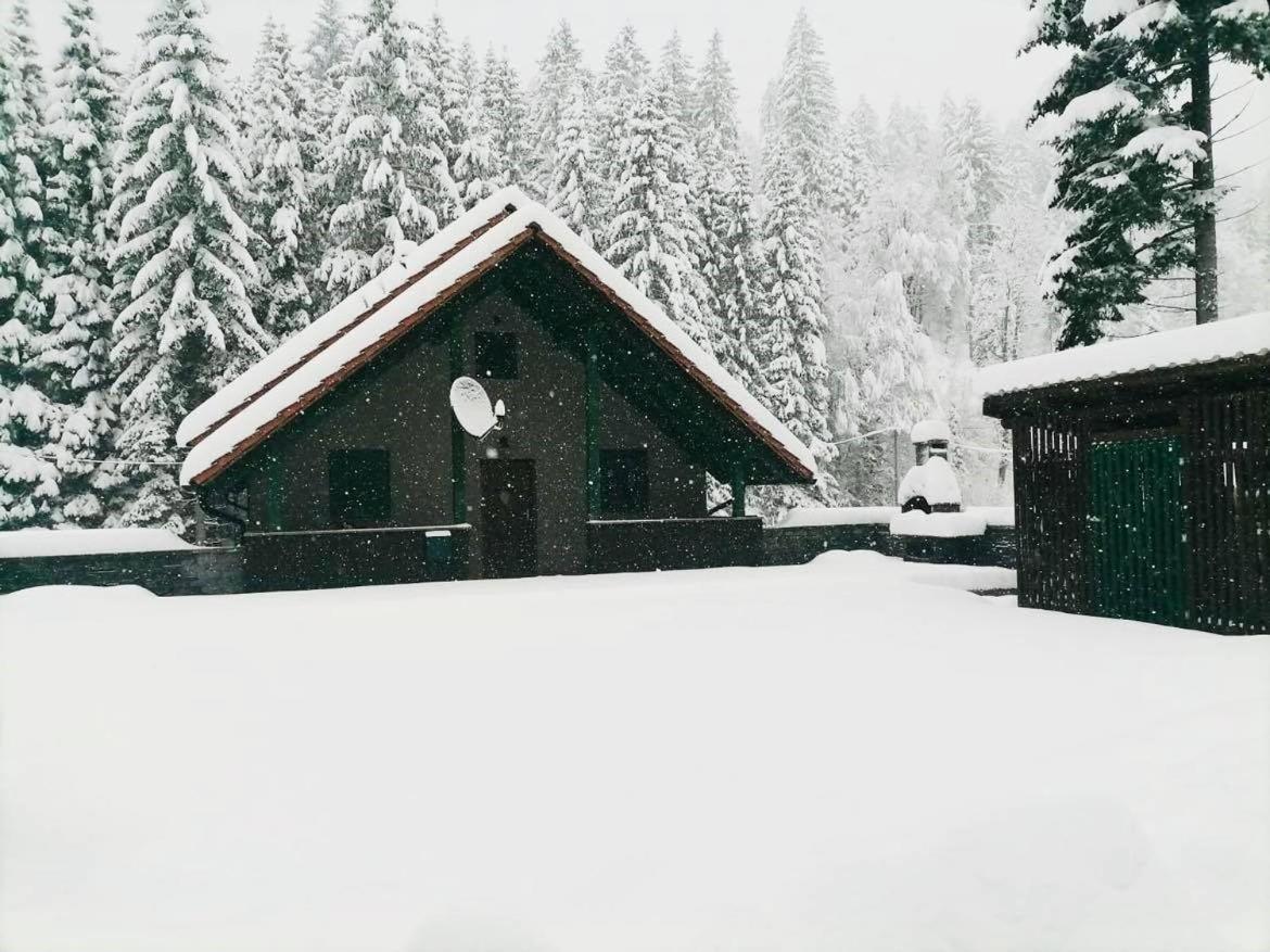 Forest Apartment Jasenak